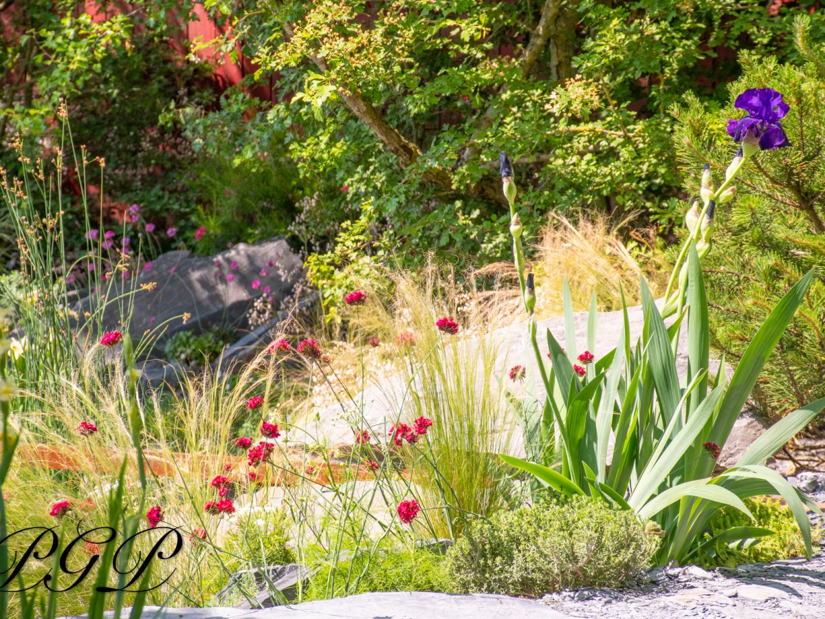 8 Planting combinations to take home from RHS Chelsea Flower Show&nbsp;2024